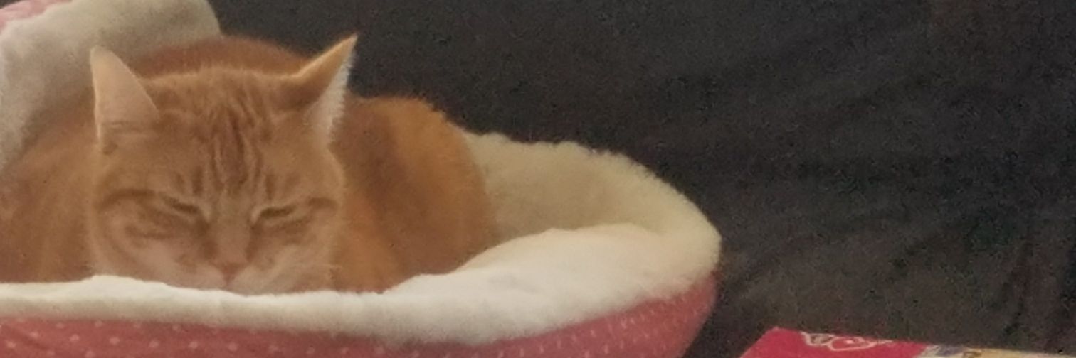jatalb's profile banner image