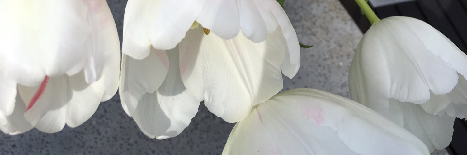 paswiderski's profile banner image