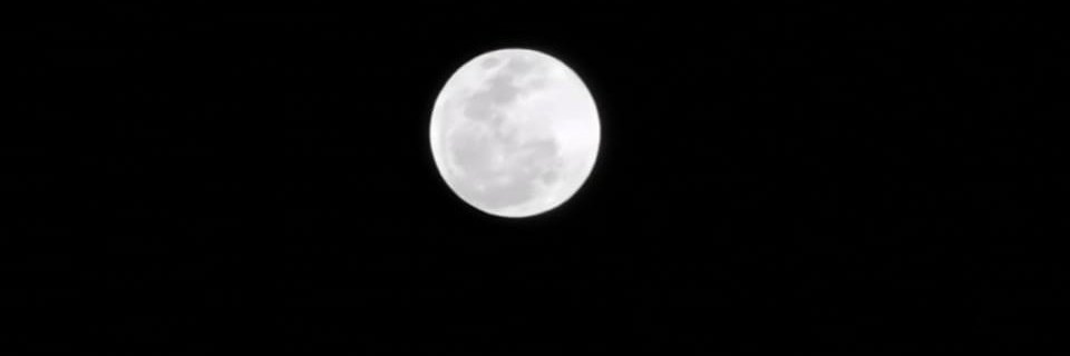 SingleForm's profile banner image