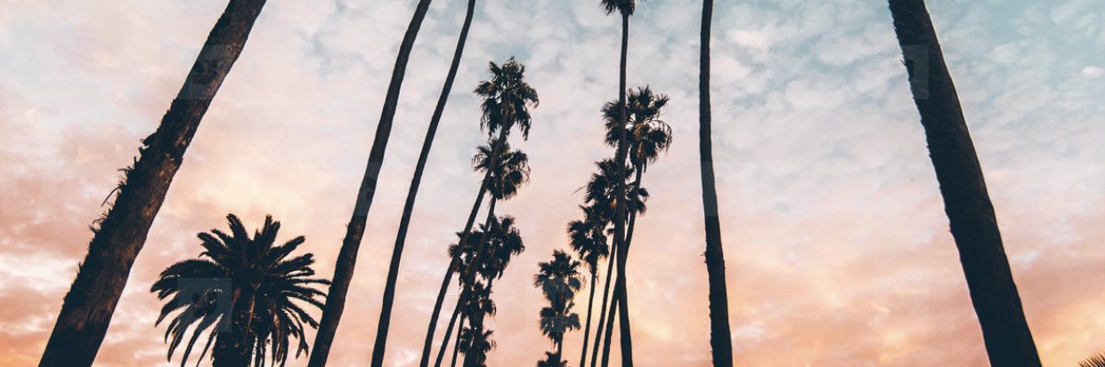 AlisonWheeler_'s profile banner image
