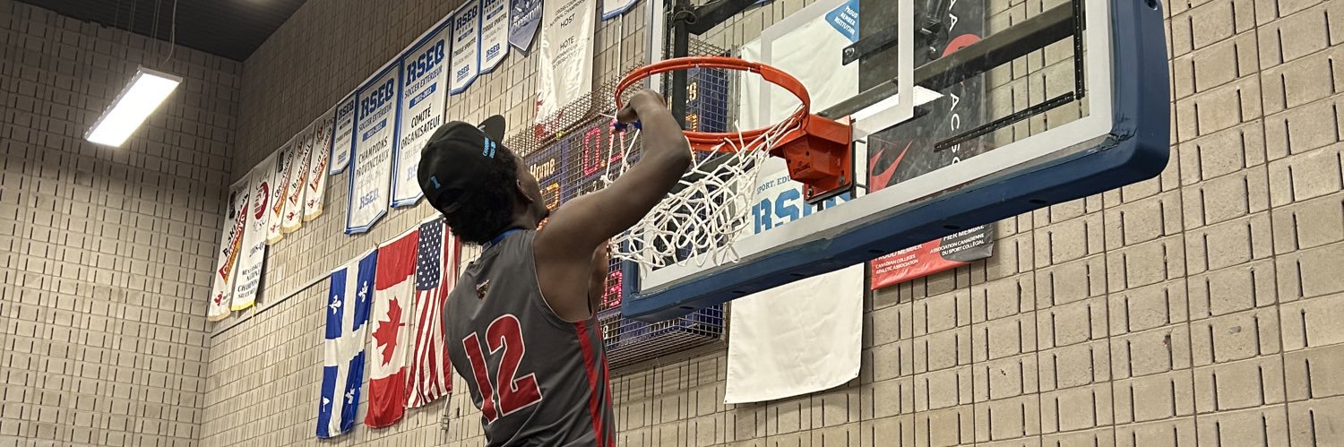 lebestballer's profile banner image