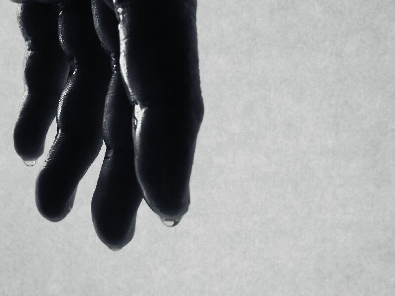 GuedezSA's profile banner image