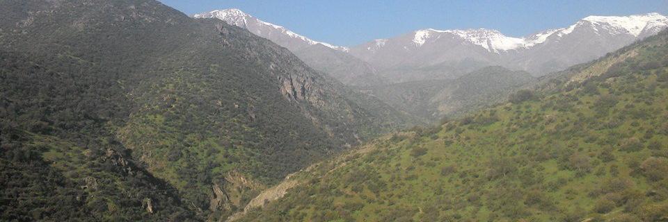 Isa_rebolledo's profile banner image
