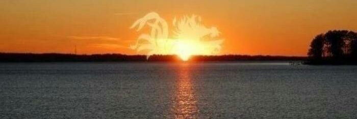 Gamecock Rowdy banner