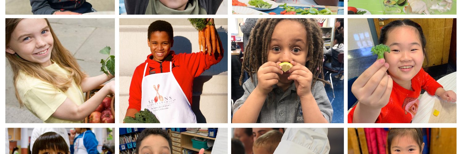 SpoonsAcrossAmerica banner