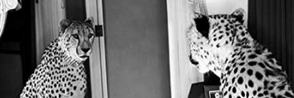 BryceCollier_10 Profile Banner