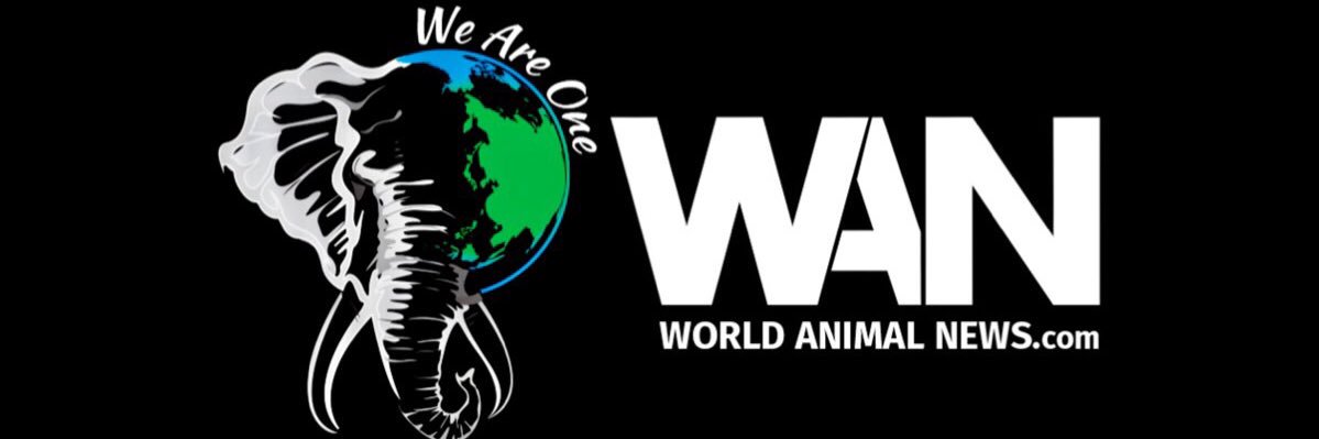 World Animal News's banner