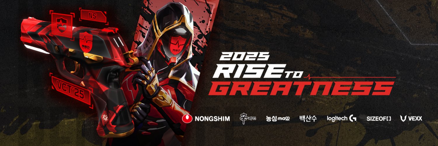 NS RedForce Valorant's banner