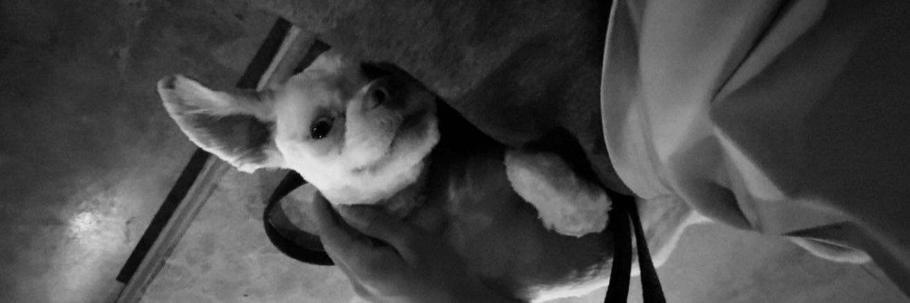 ' banner