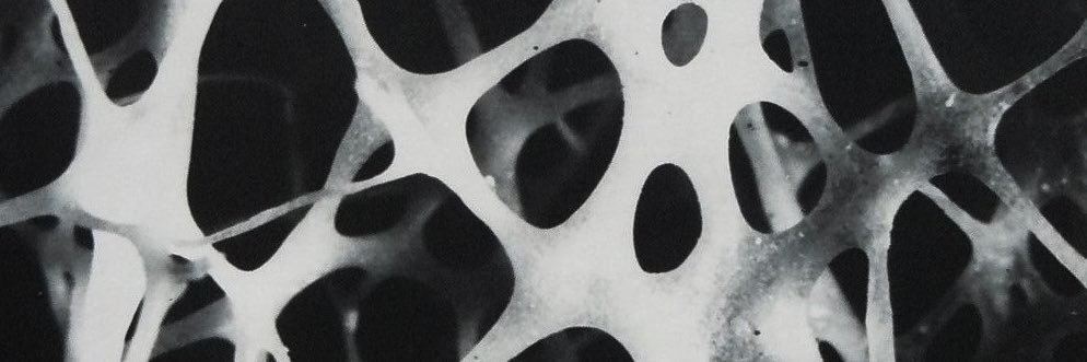 Just_this1208's profile banner image
