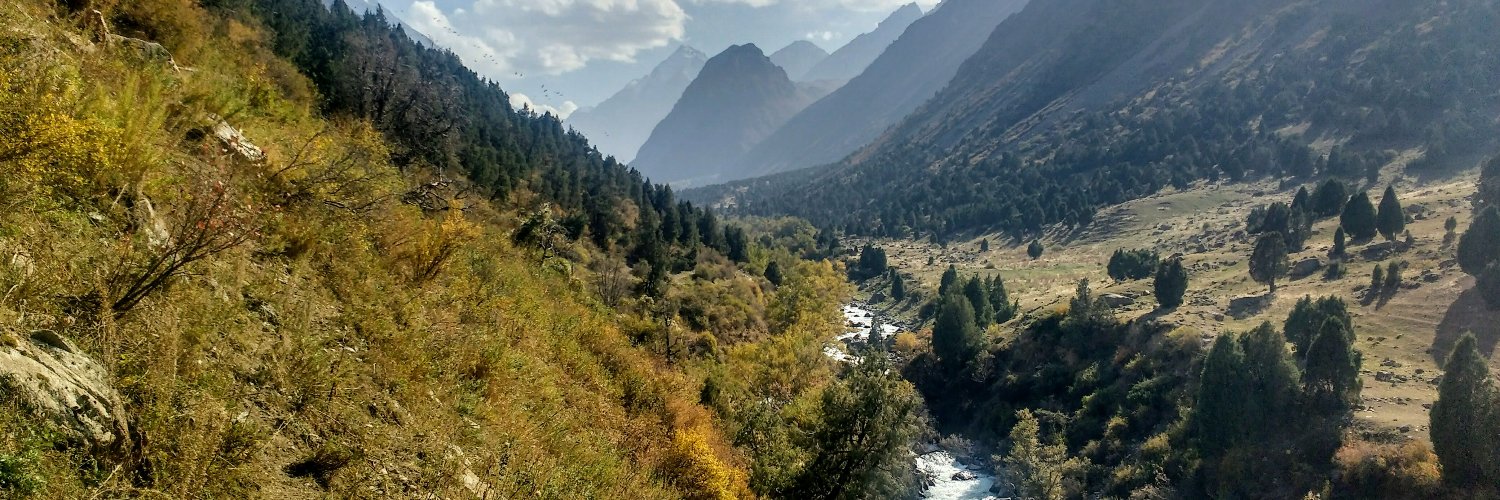 Marie Cerulus banner