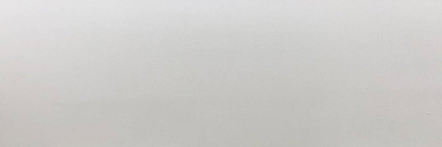 Anna Menale banner