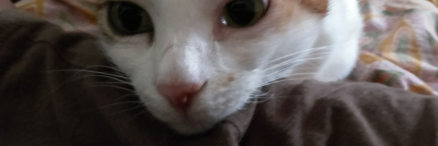 srikantm's profile banner image