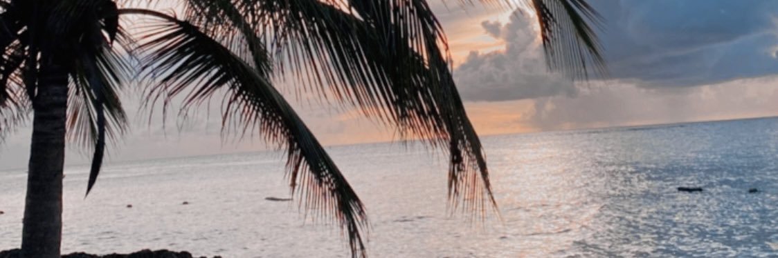 Brittney LR Johnson banner