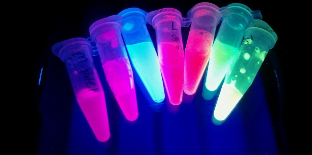 Biotech311's profile banner image