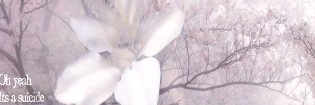 ShiroYzz's profile banner image