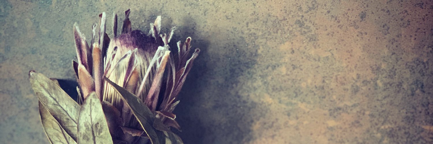 LydiaScholtz's profile banner image