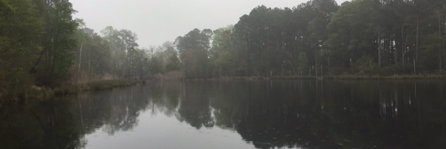 MooreTyler2015's profile banner image