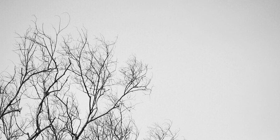 haswawed's profile banner image