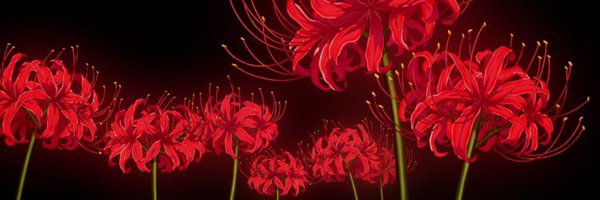 sol_seanzen Profile Banner