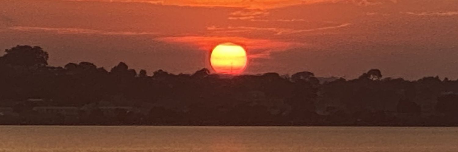 Ginyera George Orochi banner