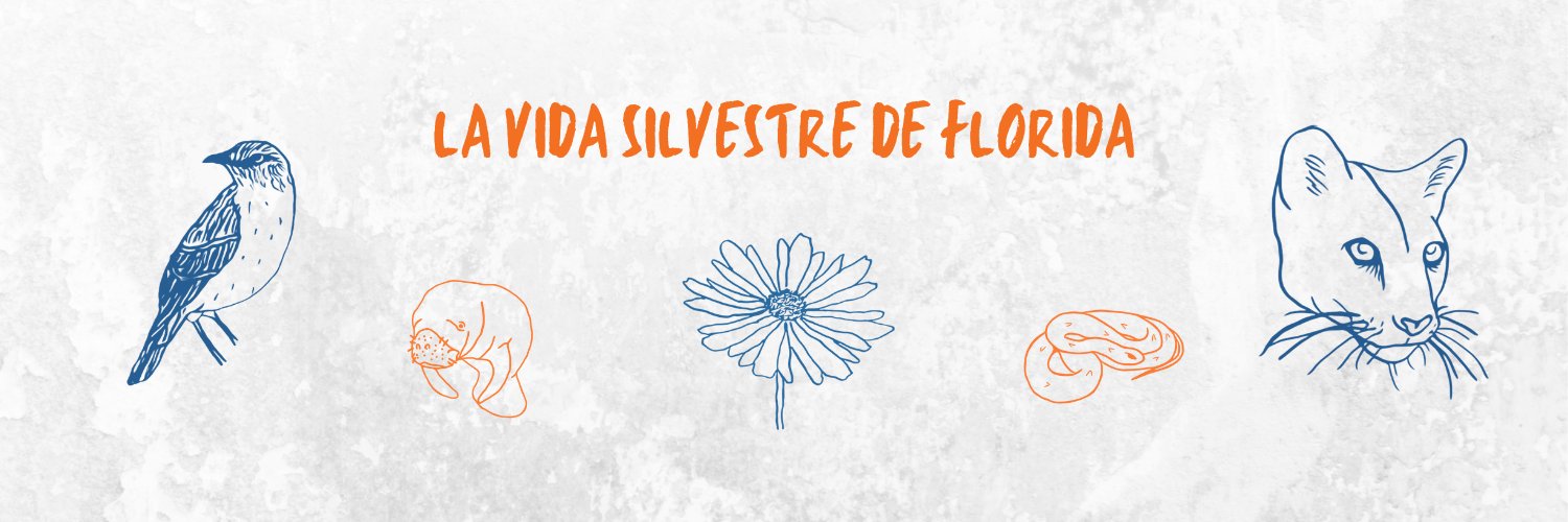 UF_RWEL_esp's profile banner image