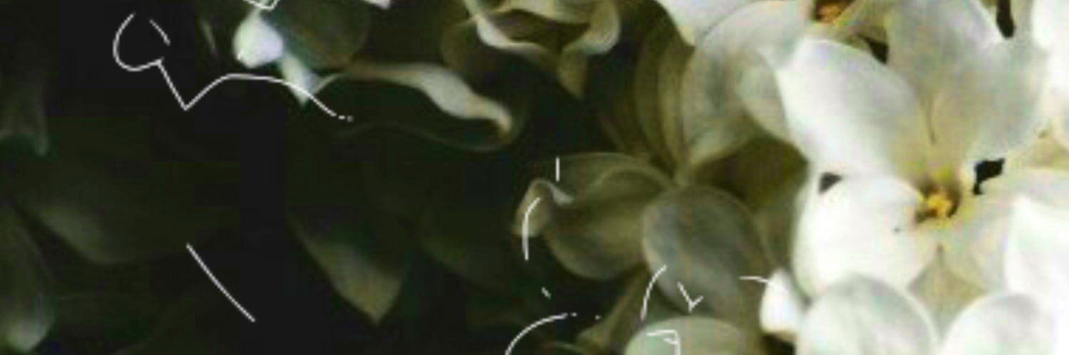ふ banner