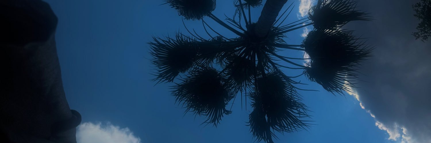 P💚 banner