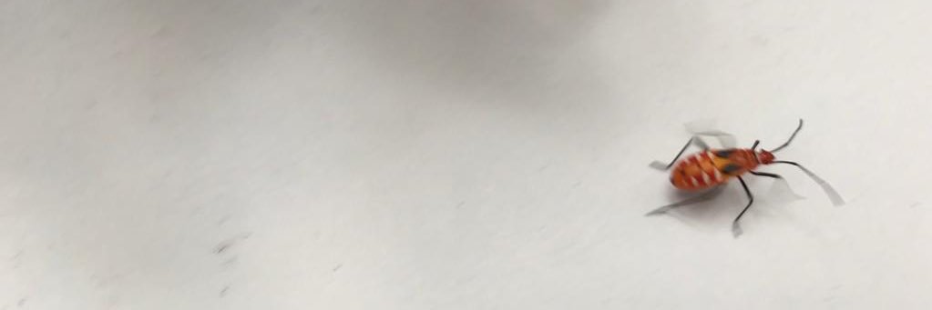 RPJsolid's profile banner image