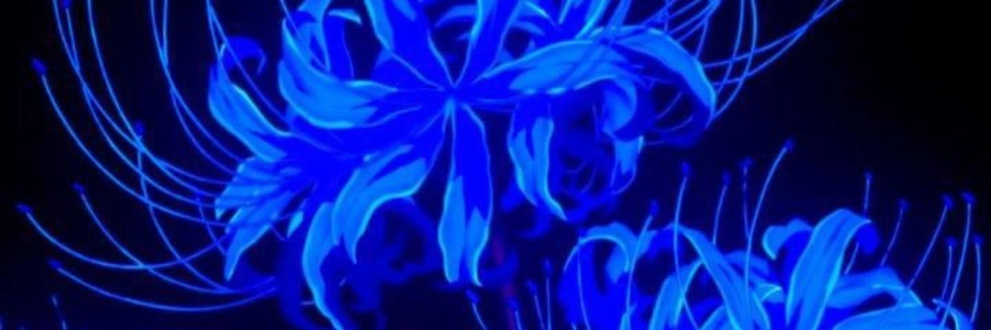 Sal_Bee1's profile banner image