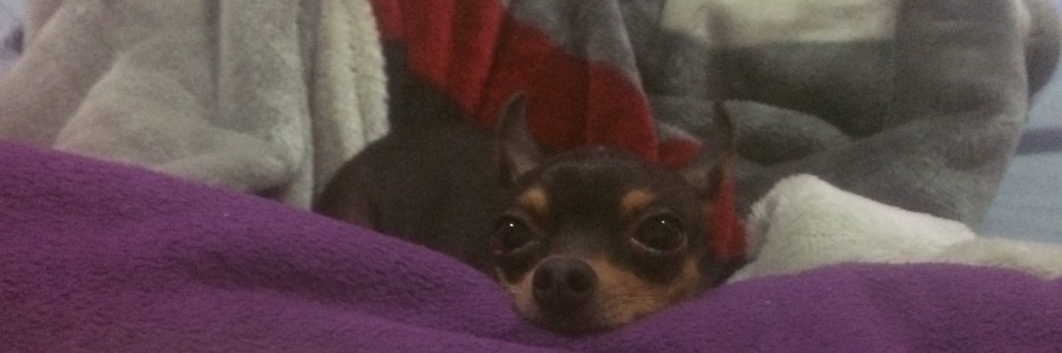 leletrodri's profile banner image