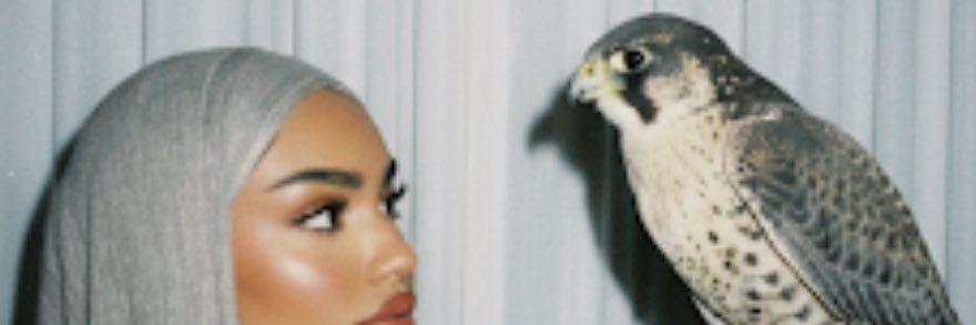 JX5aii's profile banner image