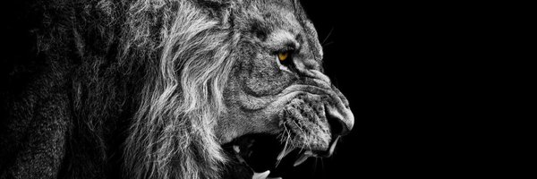DamonPruitt0 Profile Banner