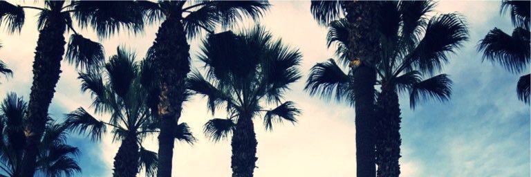 XclusiveChris banner