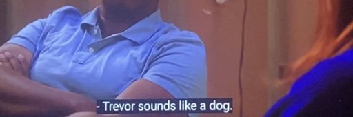 Spotted Zebra banner