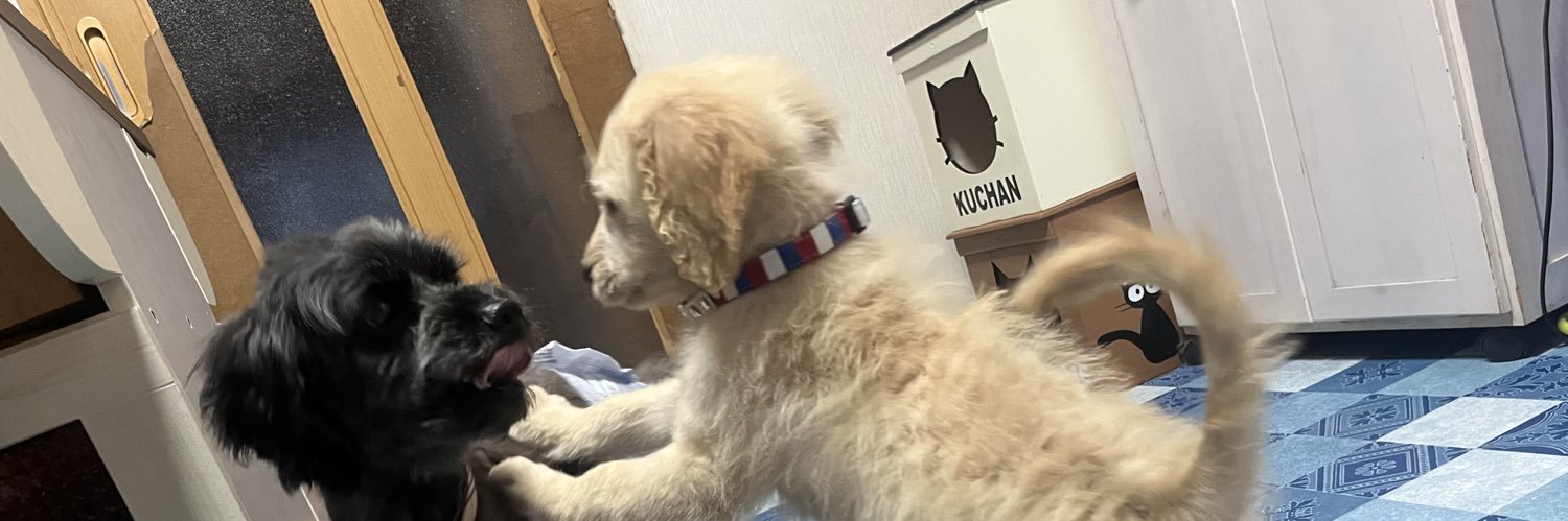kama3923's profile banner image