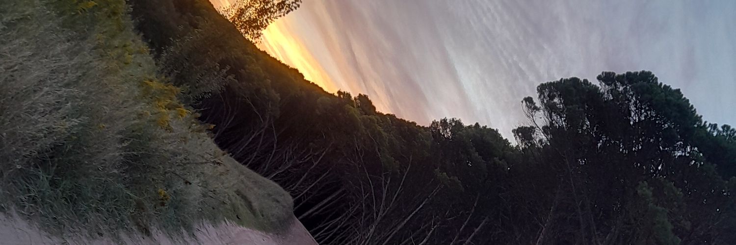 mx_generation's profile banner image