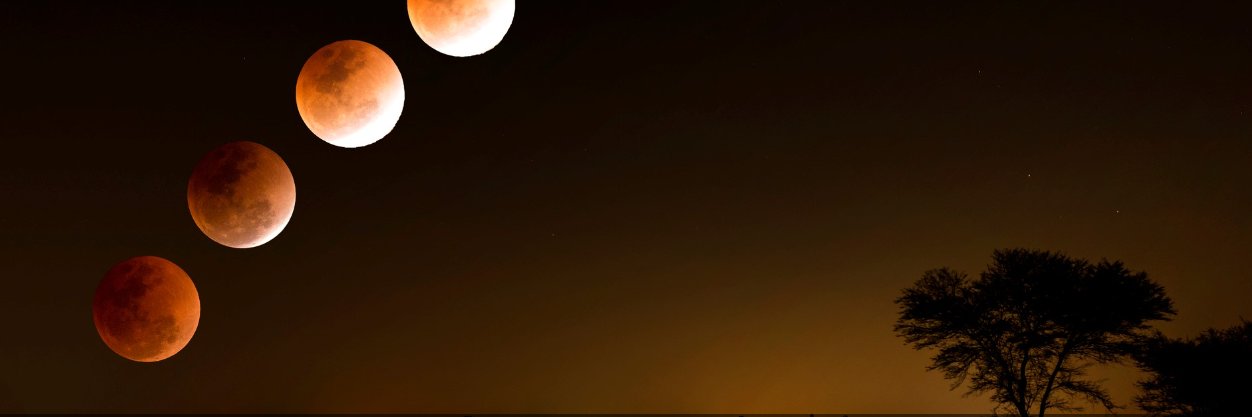 Guy95148 ⏩️ banner