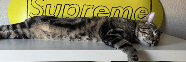 saveileen Profile Banner