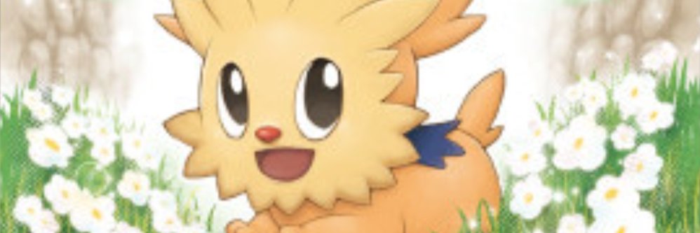 Mint banner