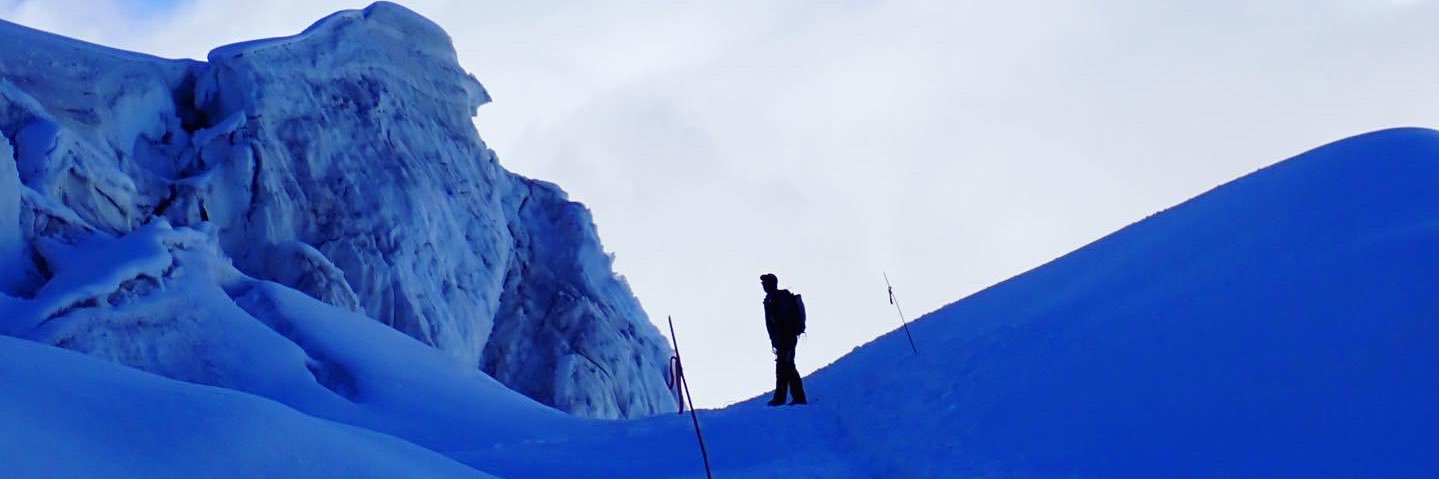 野口健's banner