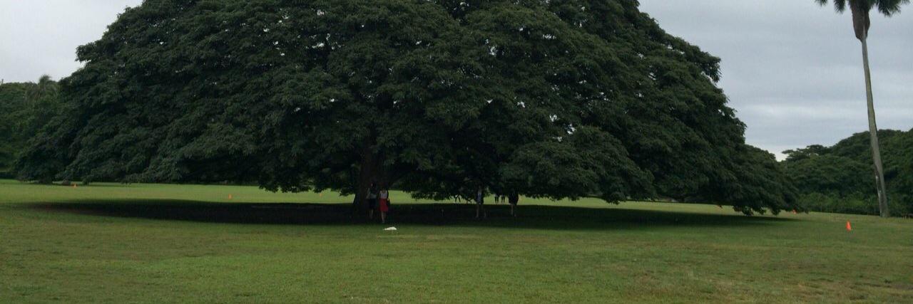 1216dir's profile banner image