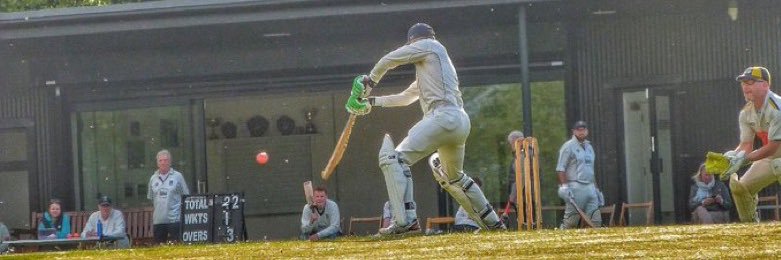 Over Wallop Cricket Club's banner
