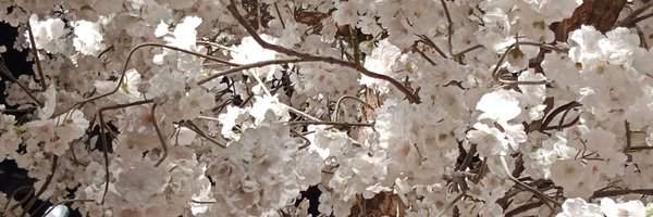 oskar_osso Profile Banner