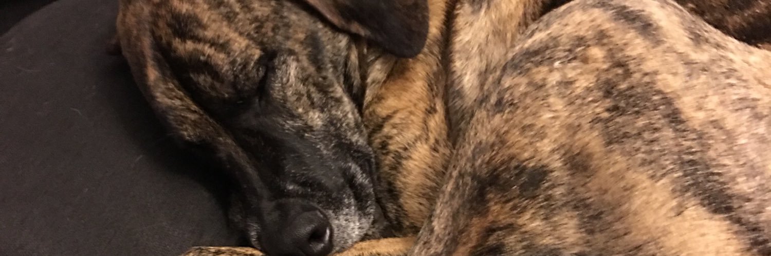 chuckloscopy's profile banner image