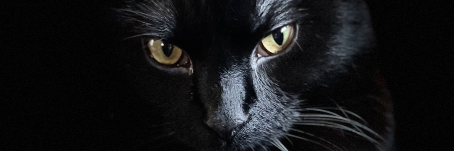 shadowcat40's profile banner image