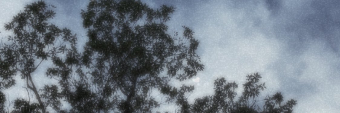 nicesmnza's profile banner image