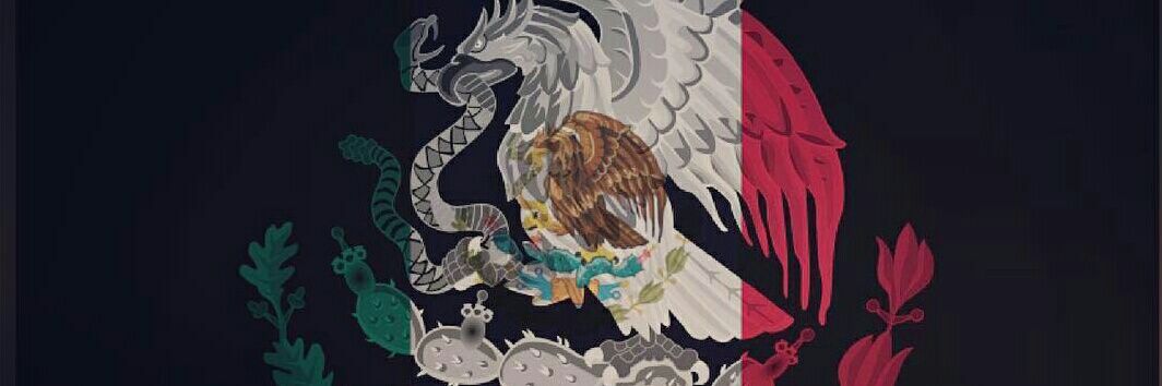 Mschopp7's profile banner image