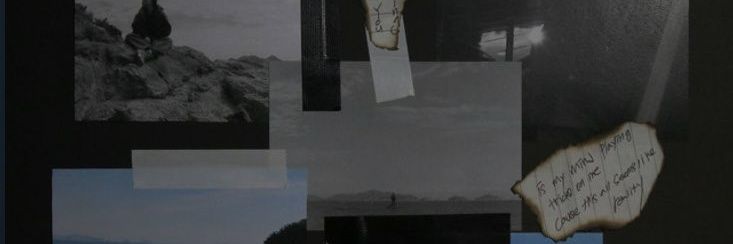 palmsugawr's profile banner image