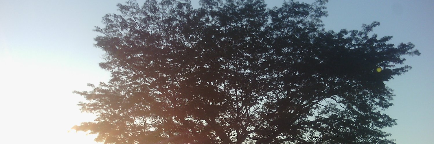 pabloivanrv8's profile banner image